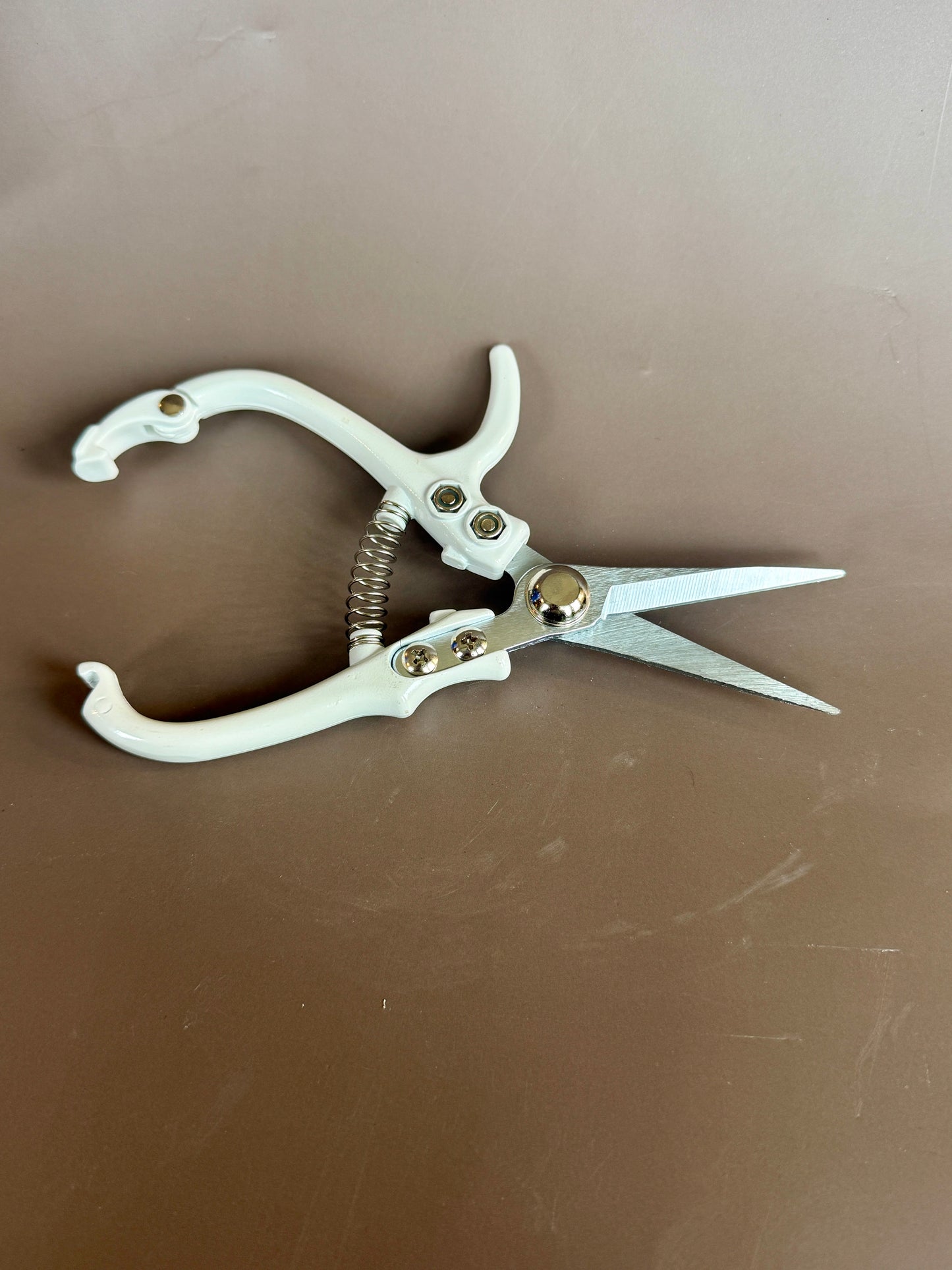 Pruning Shears | White