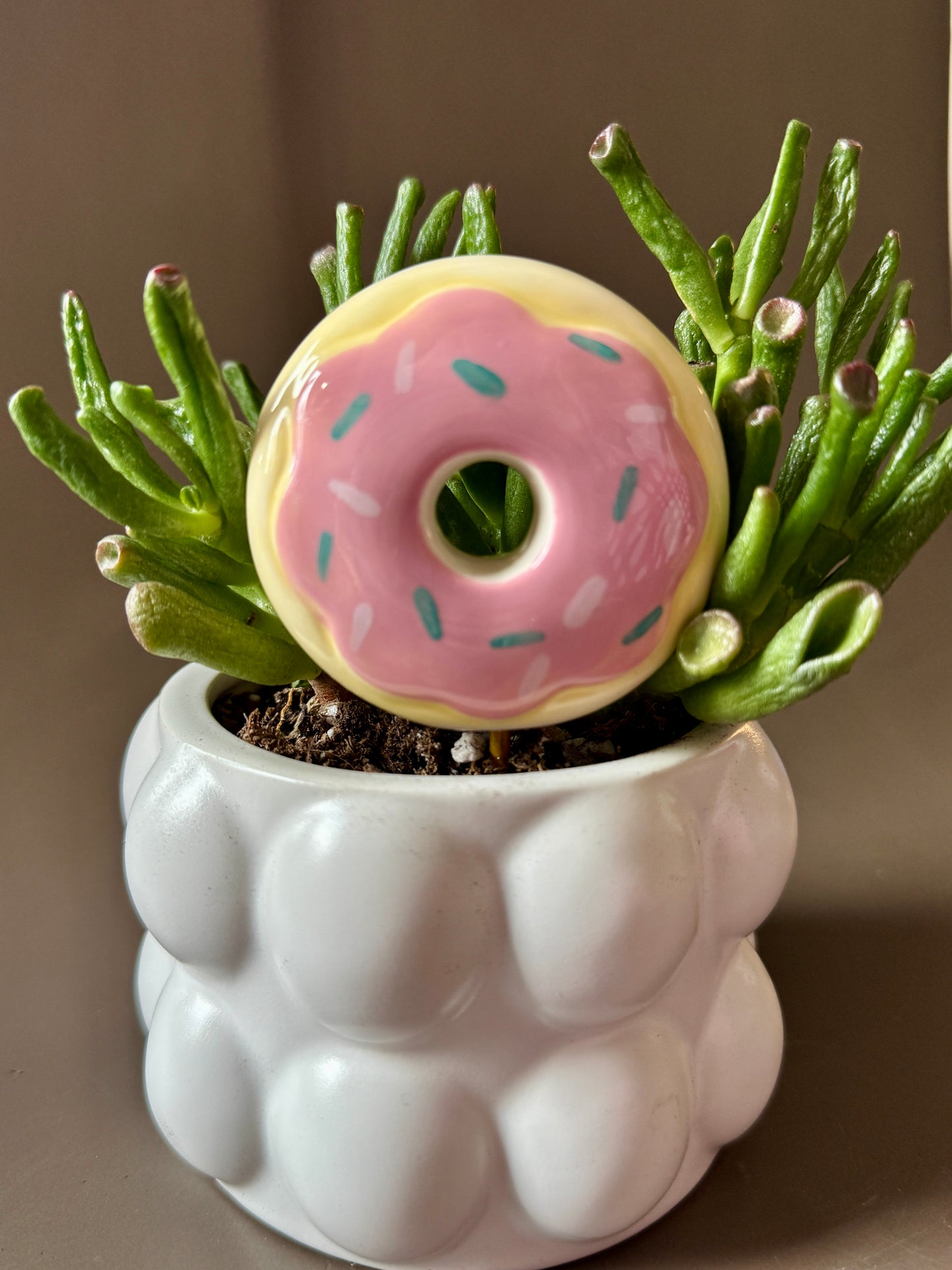 Snack Attack Plant Sticks