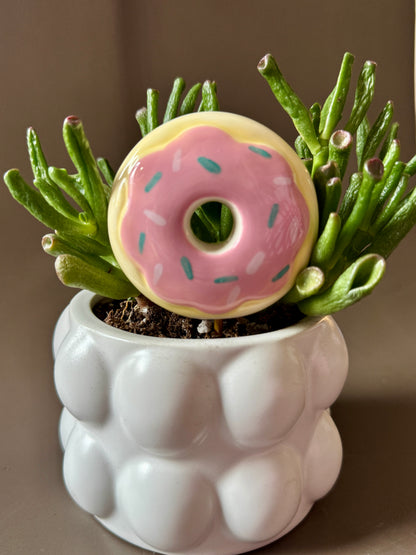 Snack Attack Plant Sticks
