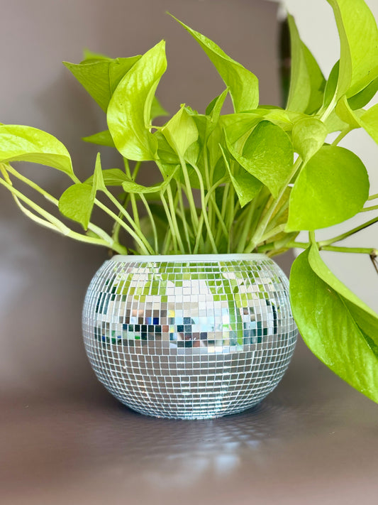 Disco Ball Pot with Neon Pothos