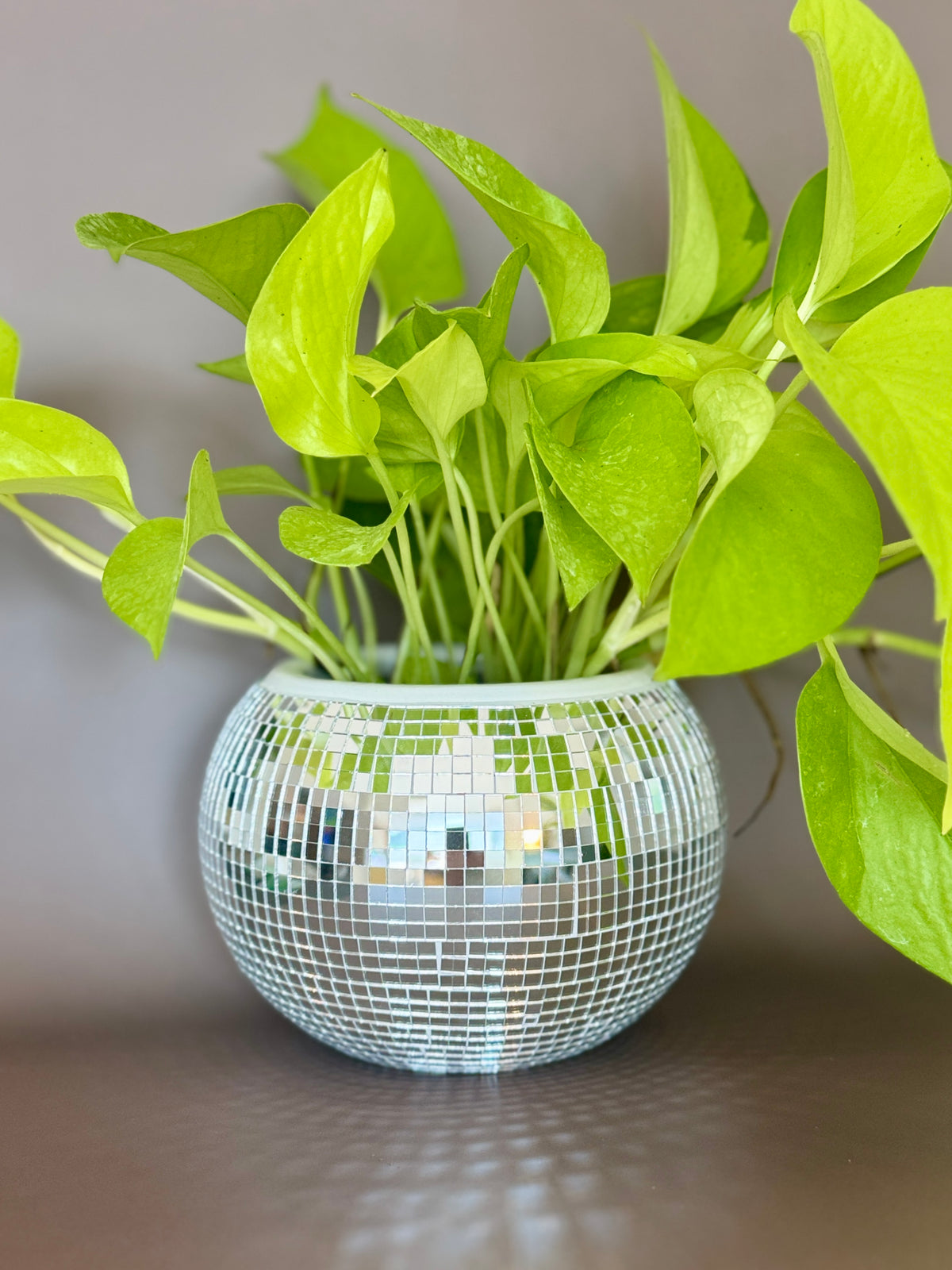 Disco Ball Pot