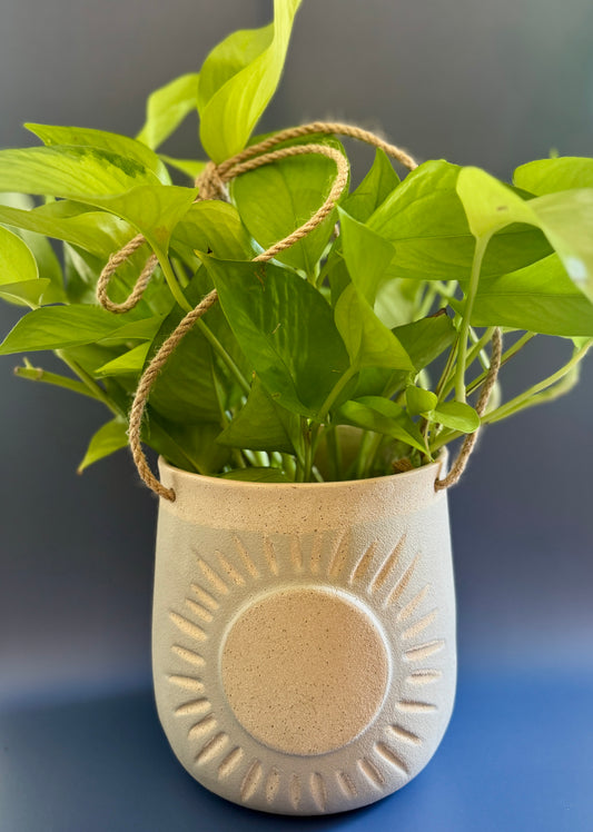 Hanging Sun Planter with Neon Pothos
