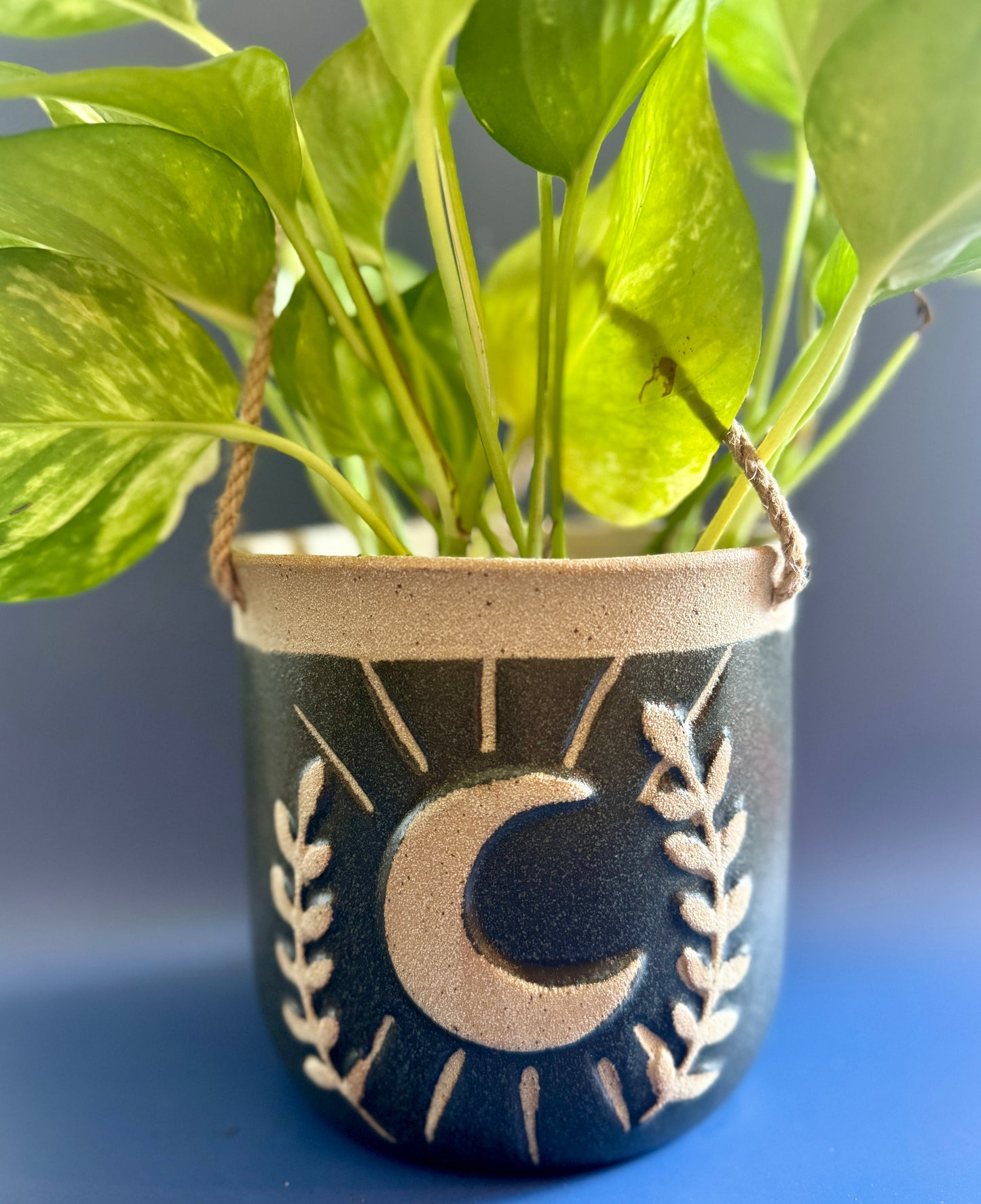 Celestial Vine