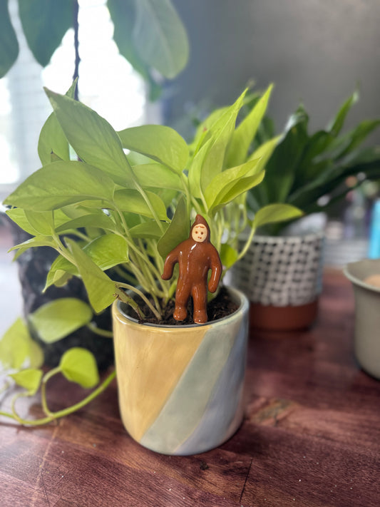 Sasquatch