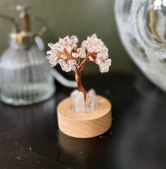 Crystal Blossom