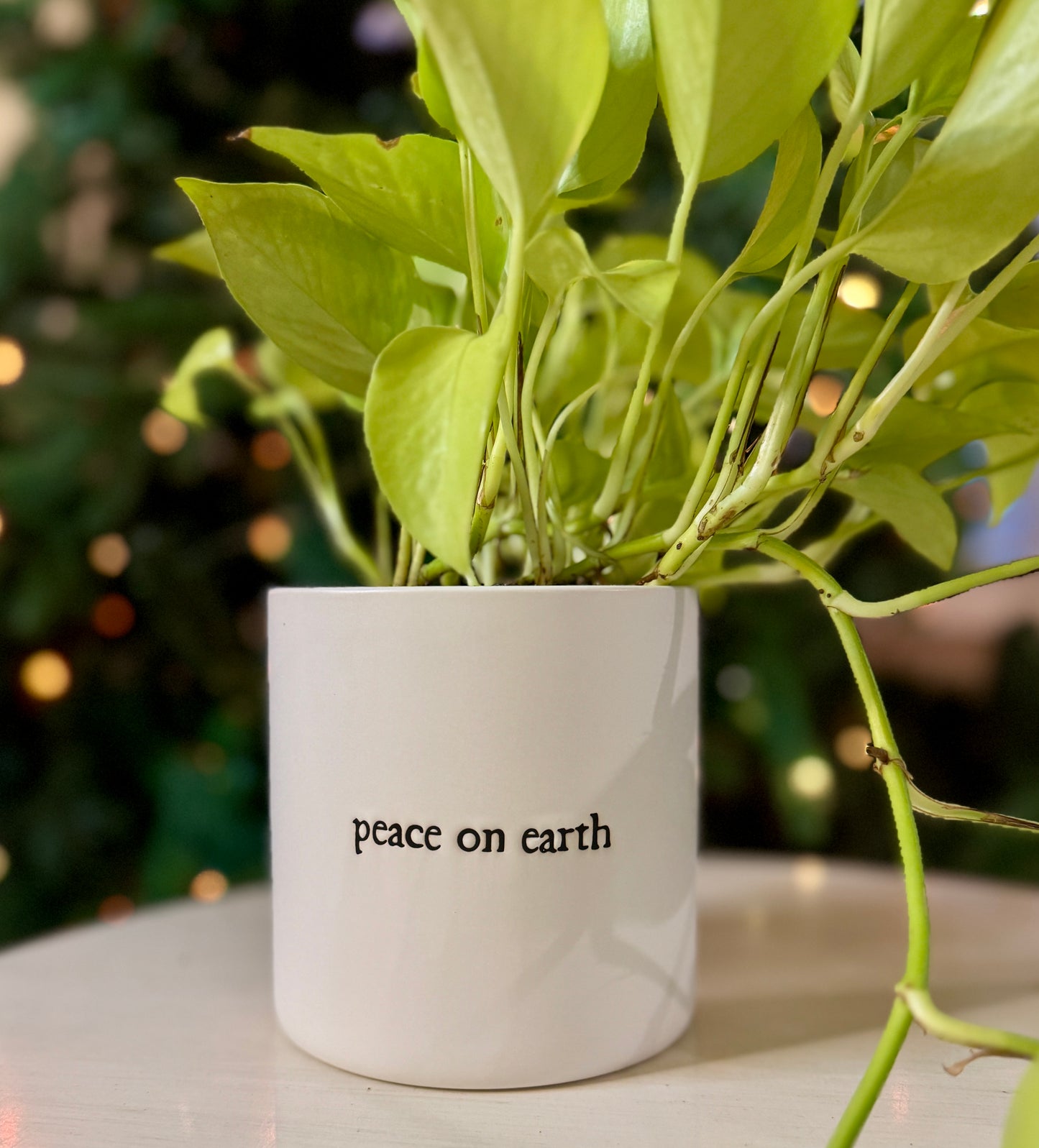 Peace On Earth Pot