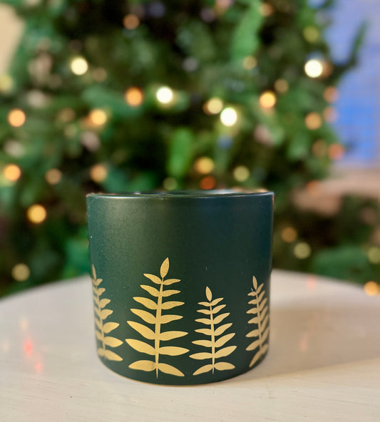 Midwinter Fern Pot
