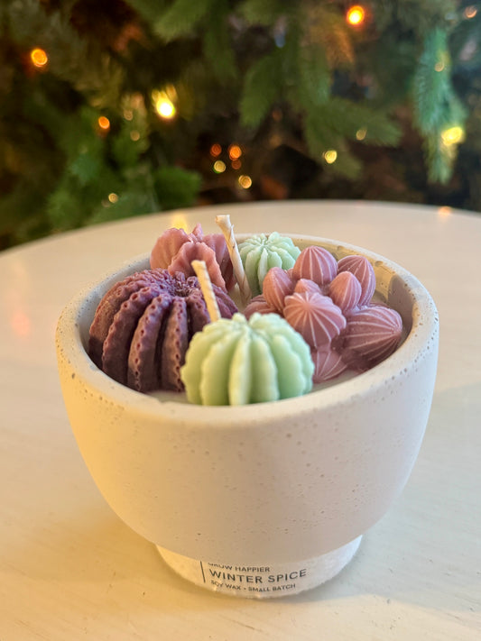 Christmas Succulent Concrete Candle