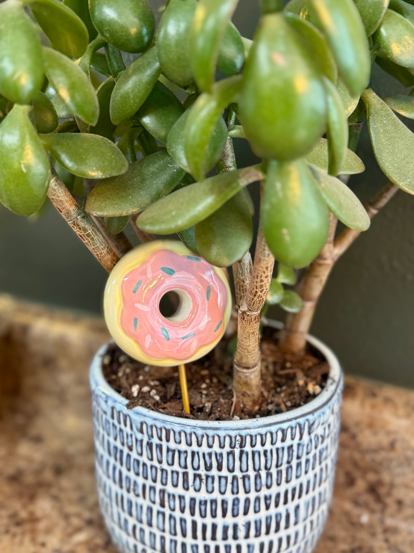 Snack Attack Plant Sticks