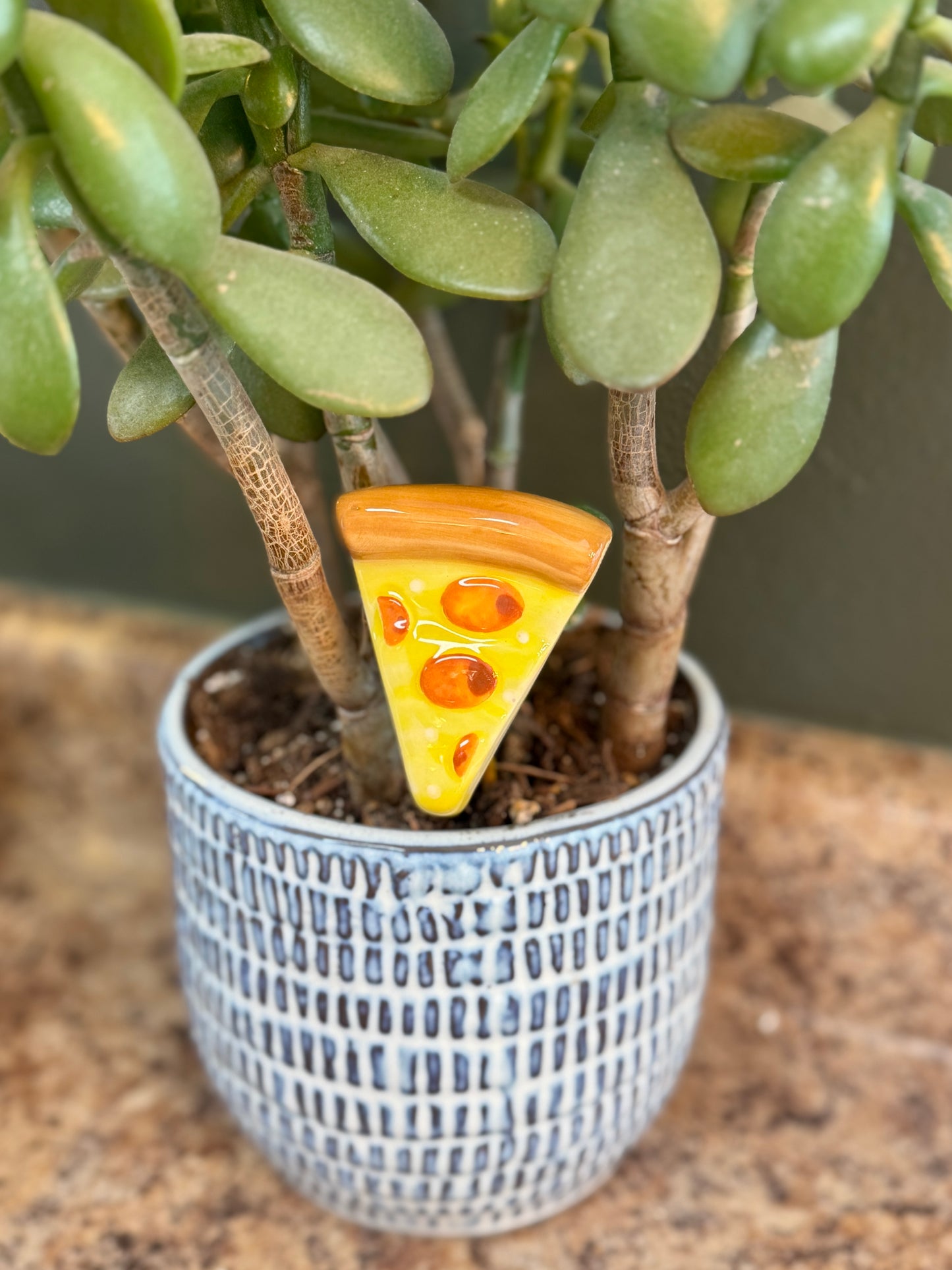 Snack Attack Plant Sticks