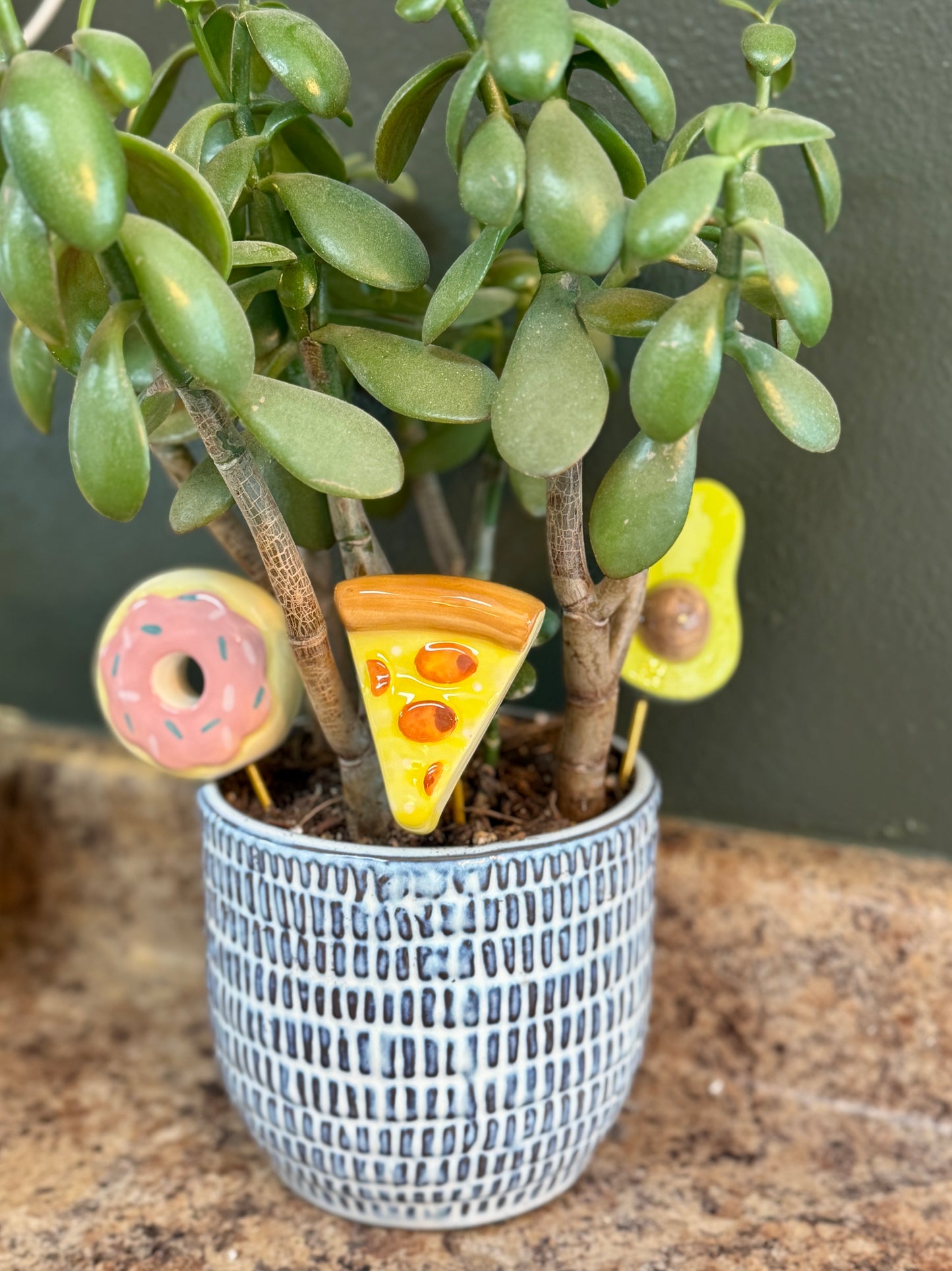 Snack Attack Plant Sticks
