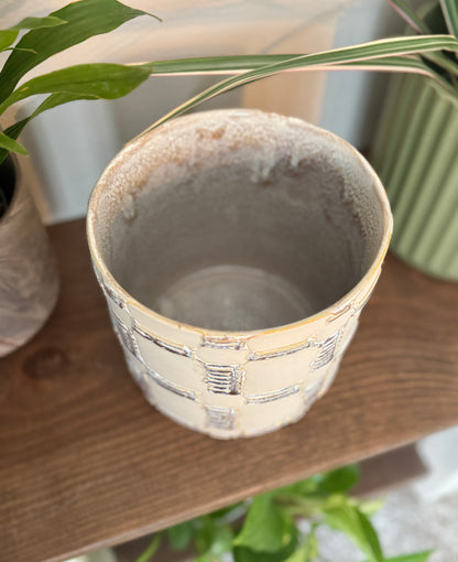 Anselm Pot with Neon Pothos