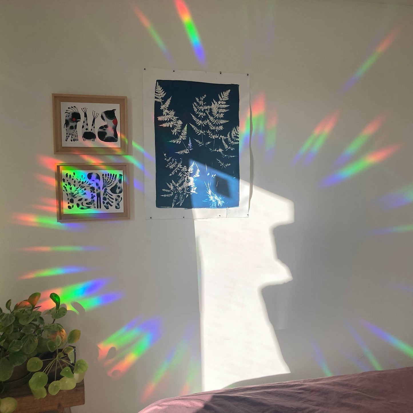 Rainbow maker sticker - Greenhouse Glow