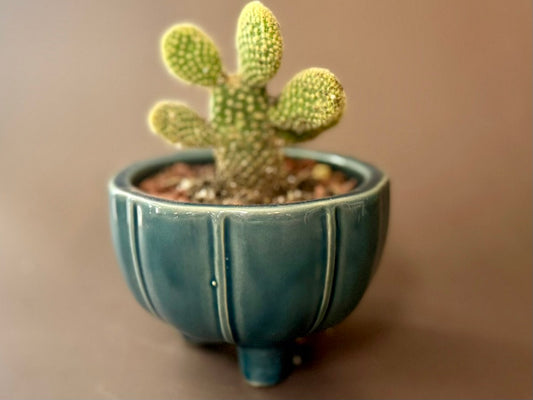 Pebble
