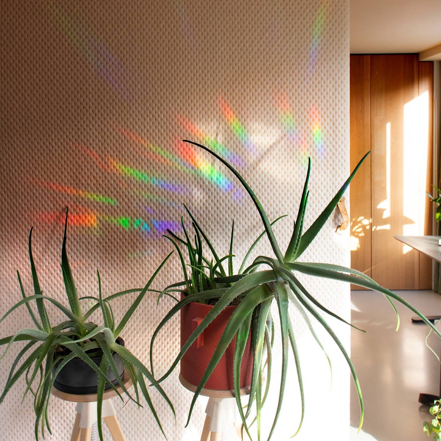 Rainbow maker sticker - Greenhouse Glow
