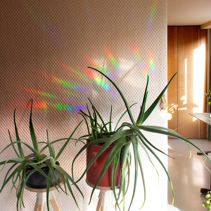 Rainbow maker sticker - Greenhouse Glow