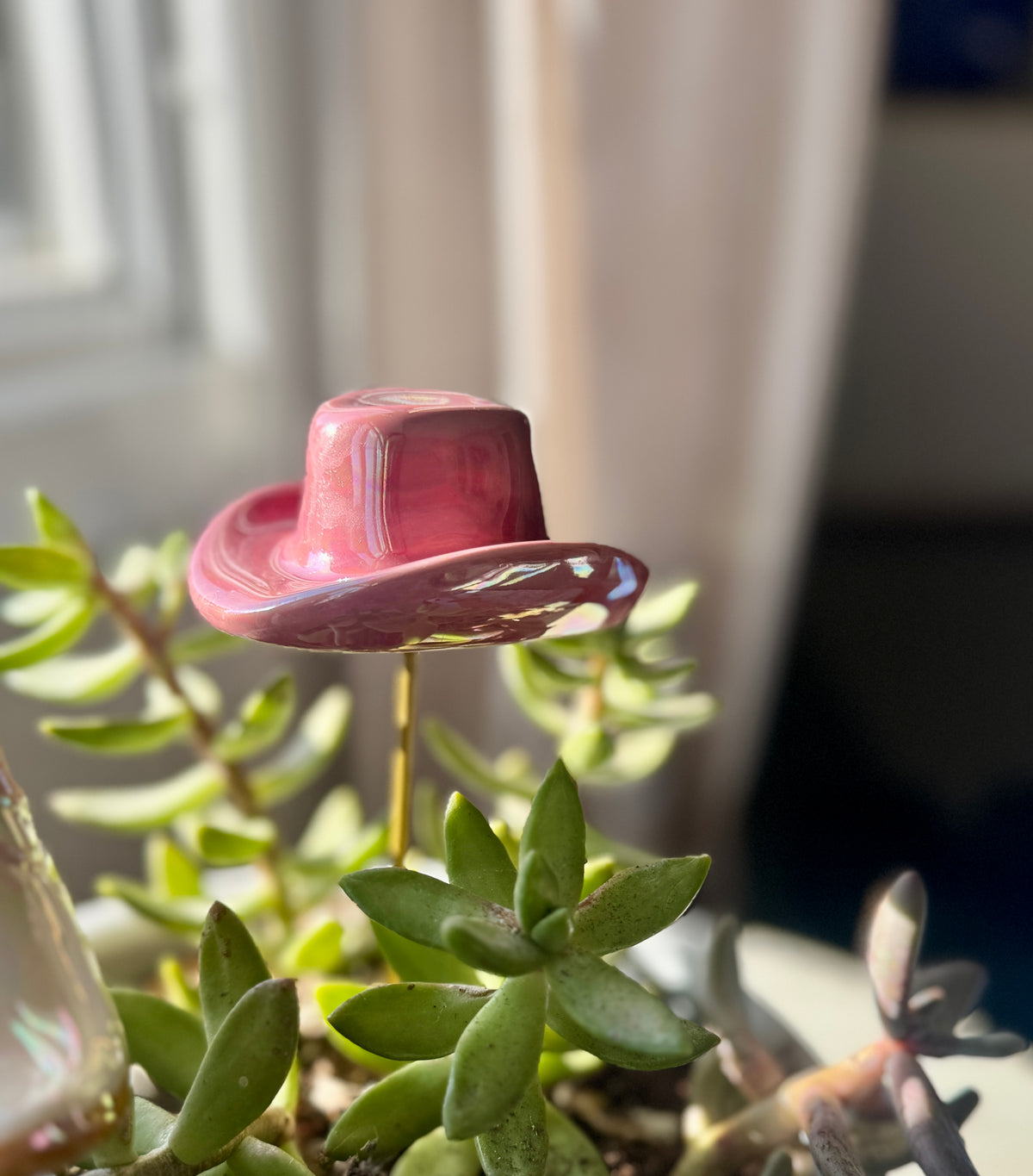 Giddy Up Plant Stick Set