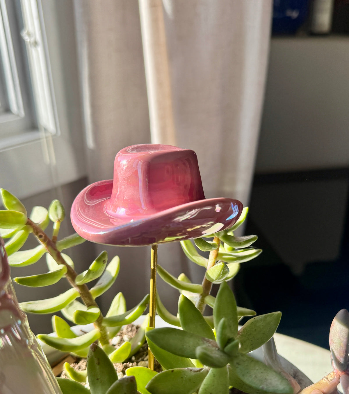 Giddy Up Plant Stick Set