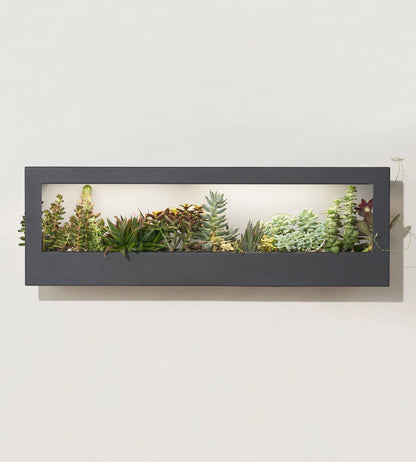 Smart LED Light Landscape Growframe