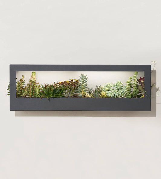 Smart LED Light Landscape Growframe