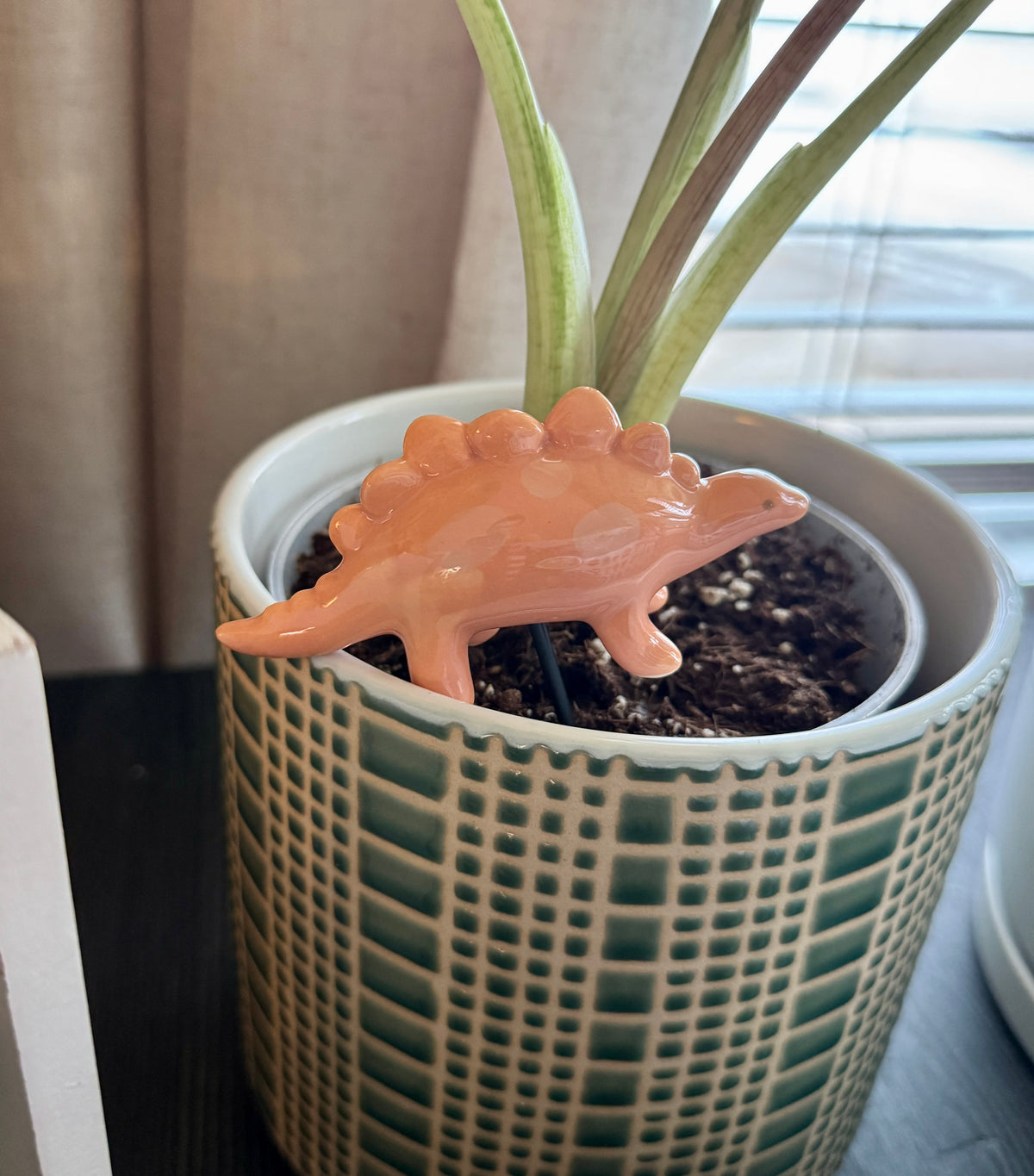Dinosaur Plant Sticks