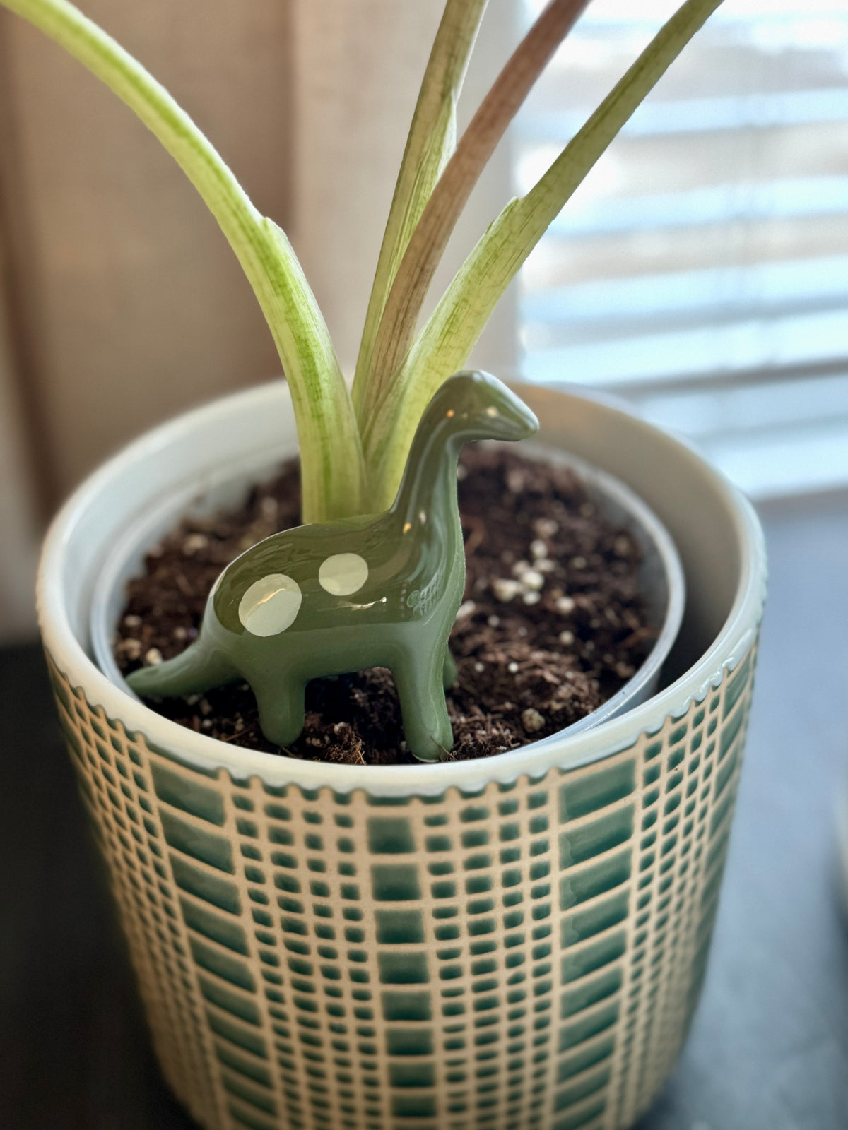 Dinosaur Plant Sticks