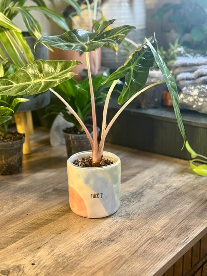 Fuck It Ceramic Planter