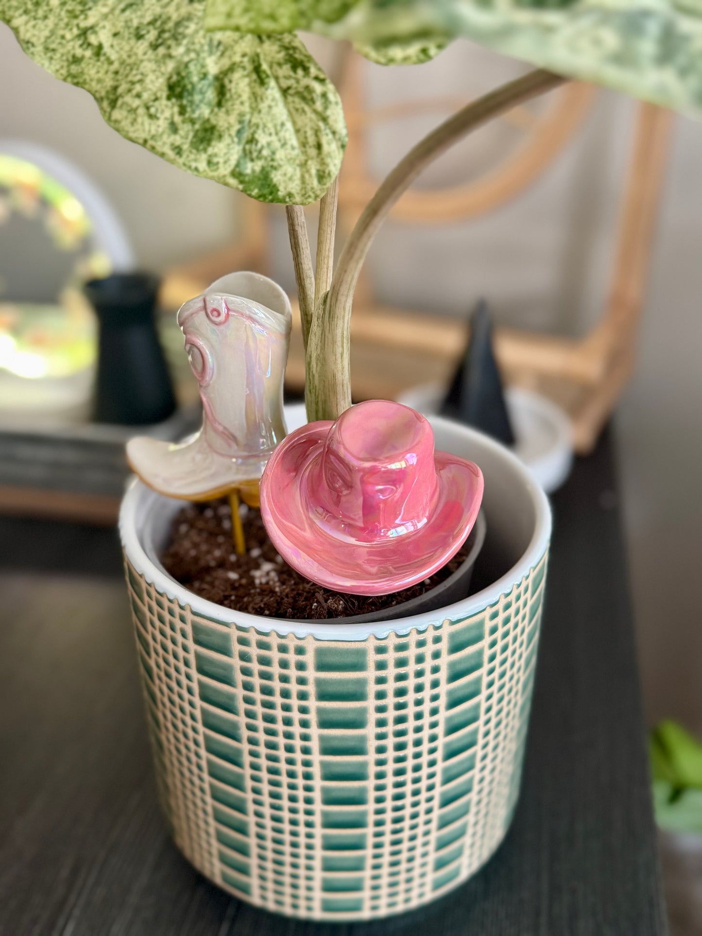 Giddy Up Plant Sticks