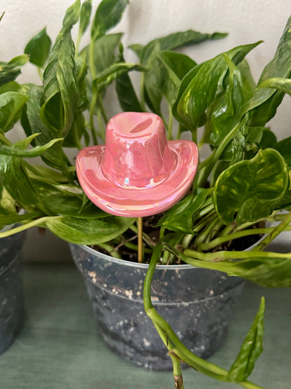 Giddy Up Plant Sticks