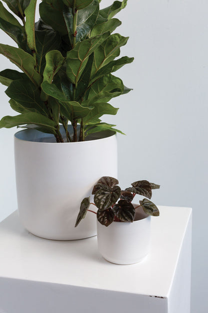 White Mini Pot