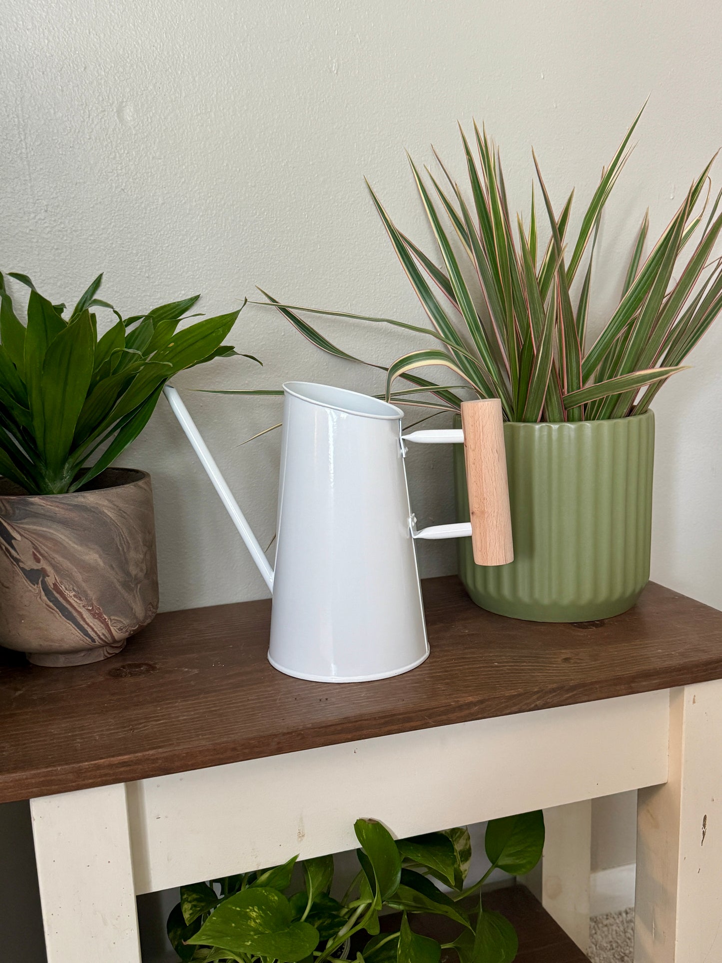 Preston Watering Can