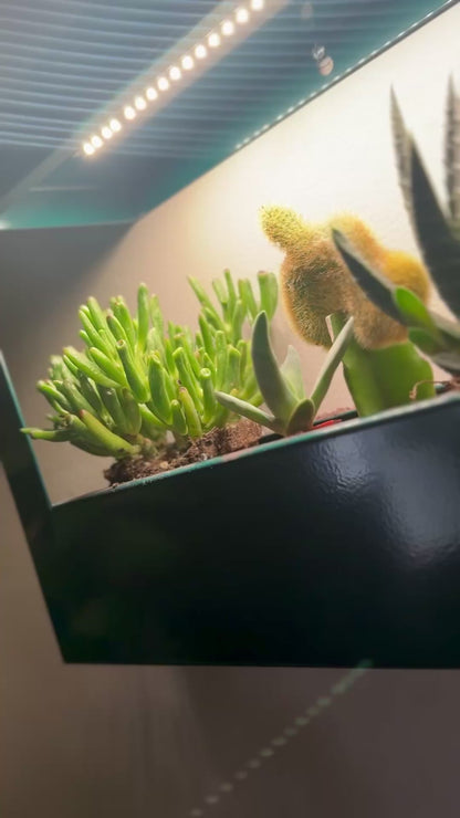 Smart LED Light Landscape Growframe