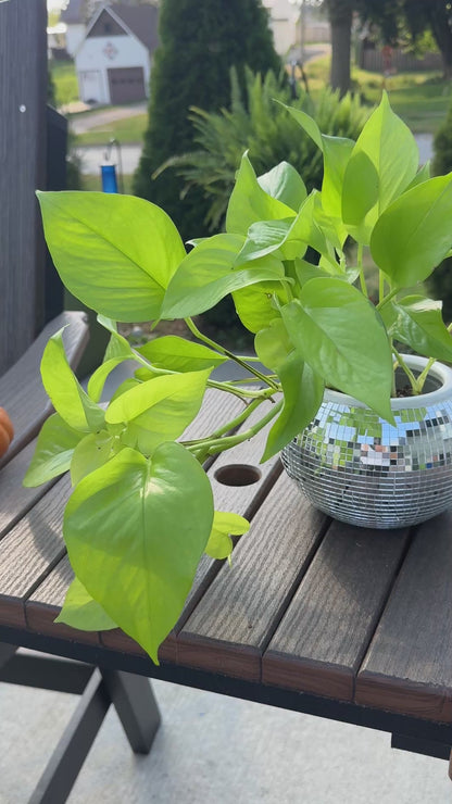 Disco Ball Pot