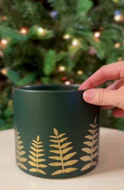 Midwinter Fern Pot