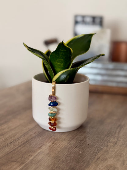 White Ceramic Pot with Aligned Chakra Pendant and Snake Plant