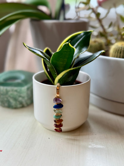 White Ceramic Pot with Aligned Chakra Pendant and Snake Plant