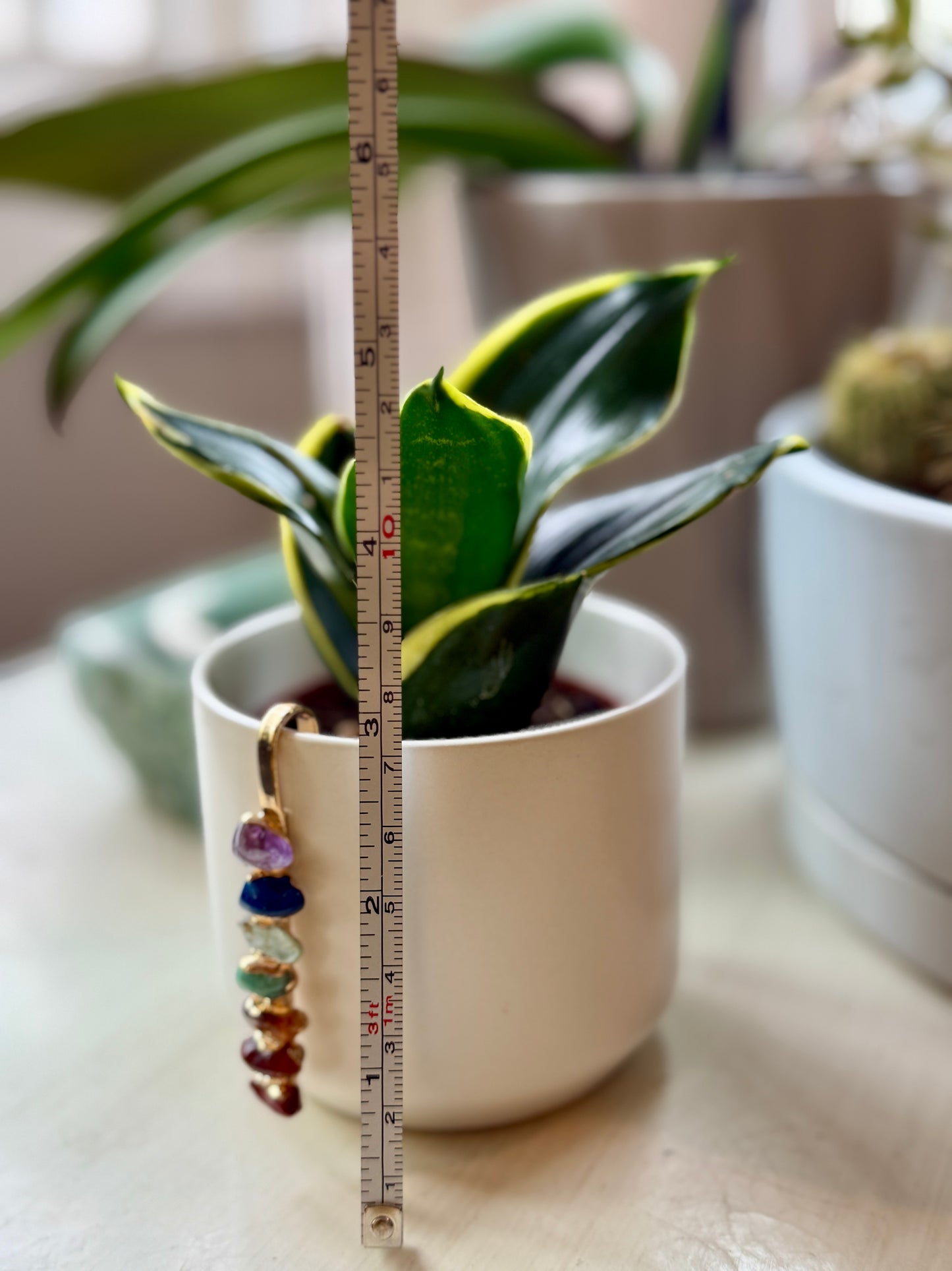 White Ceramic Pot with Aligned Chakra Pendant and Snake Plant