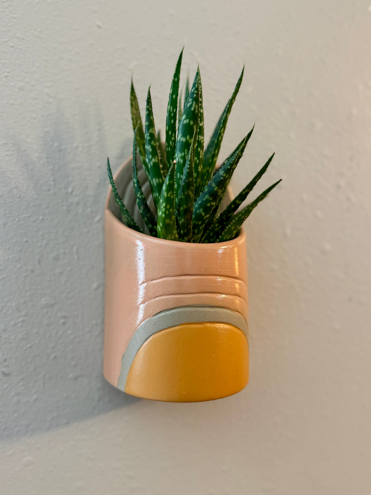 Sunrise Hanging Wall Pot