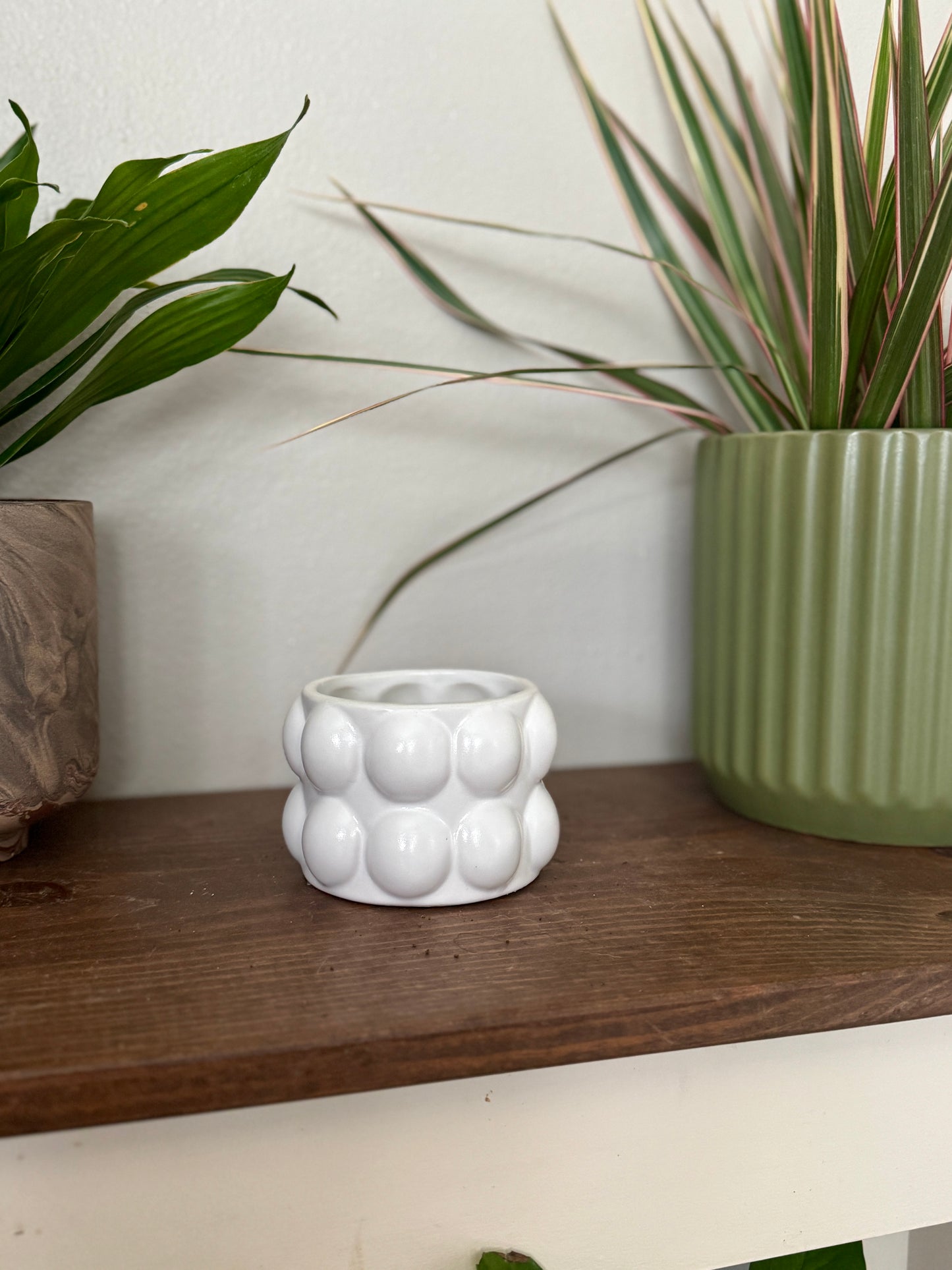 Mini Bubble Pot