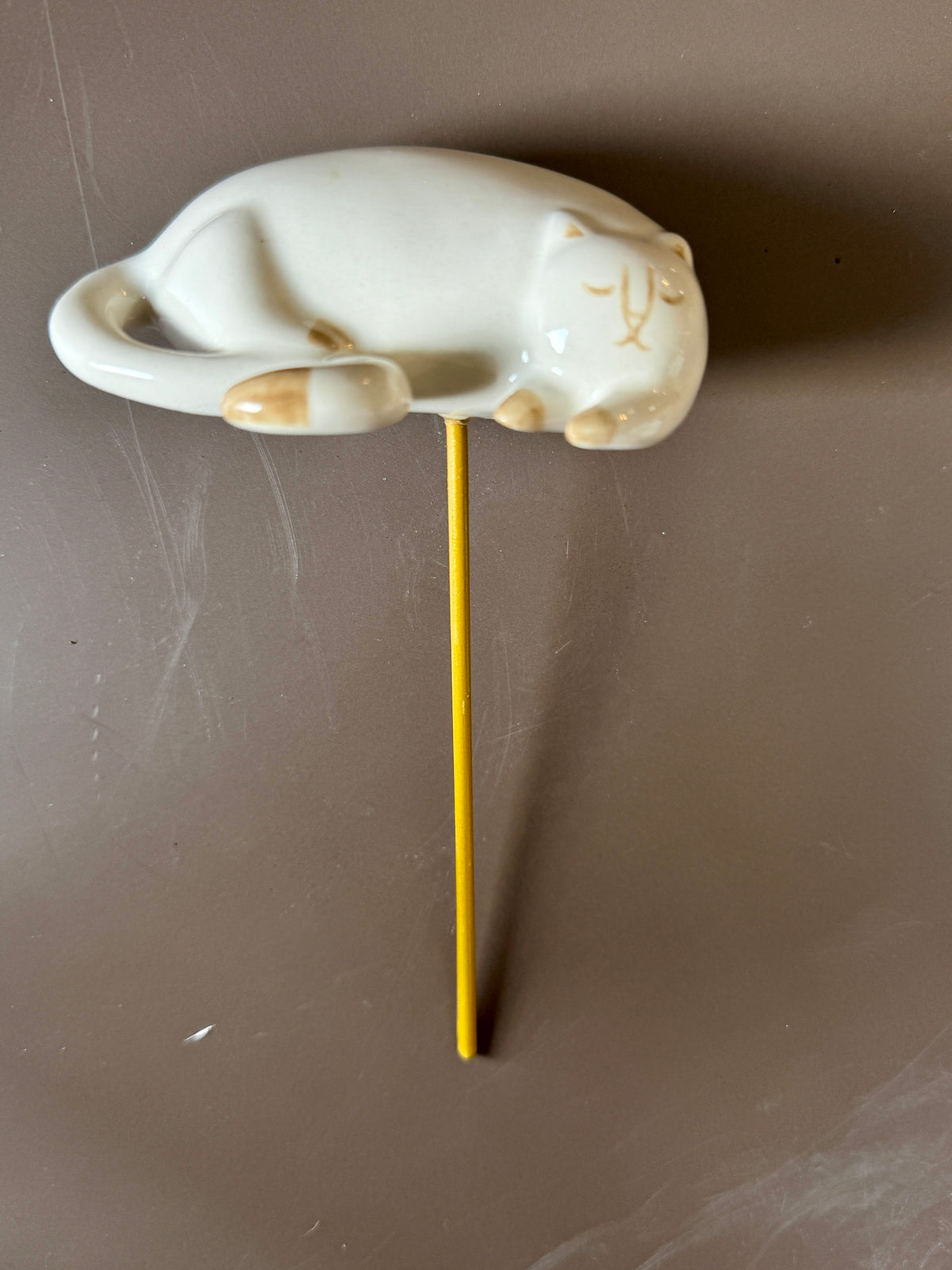 Curious Cats Plant Stick Set